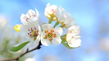 Режим работы в Майские праздники