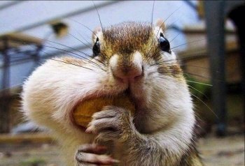 Запасайтесь продуктами 1С-Битрикс по старым ценам!