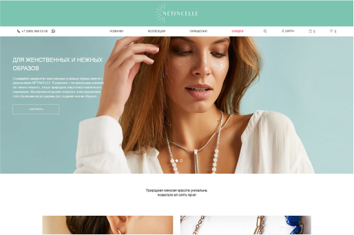 Сайт компании Netincelle
