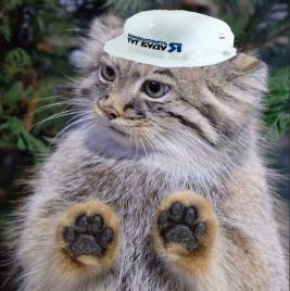 manul